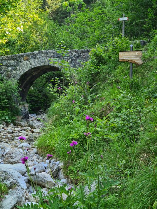 NATURA CONDIVISA