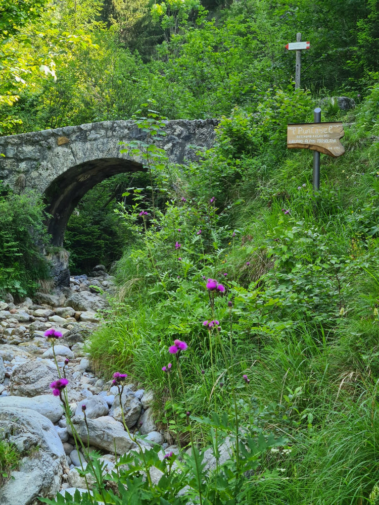 NATURA CONDIVISA