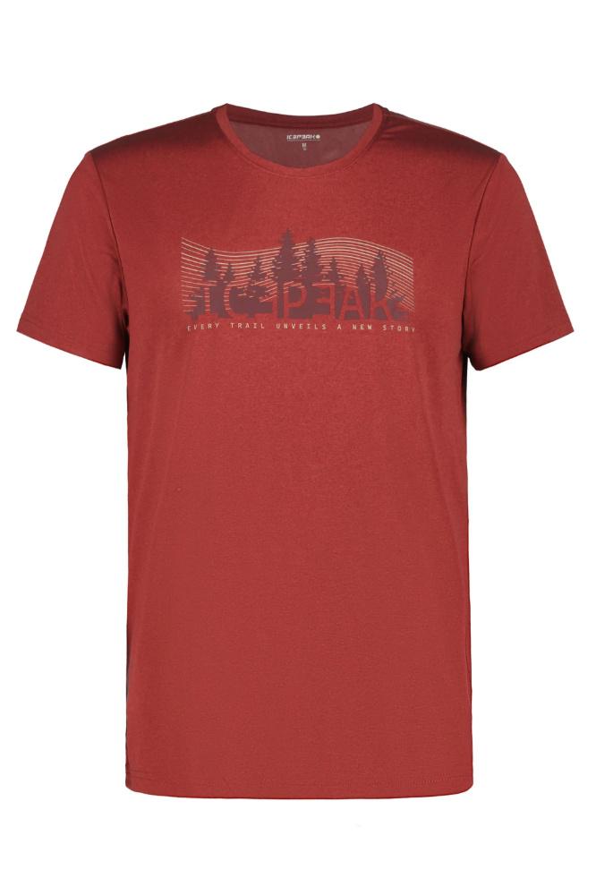 Carica immagine in Galleria Viewer, BEARDEN ICEPEAK T-SHIRT UOMO 
