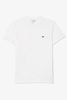T-SHIRT A GIROCOLLO IN COTONE LACOSTE