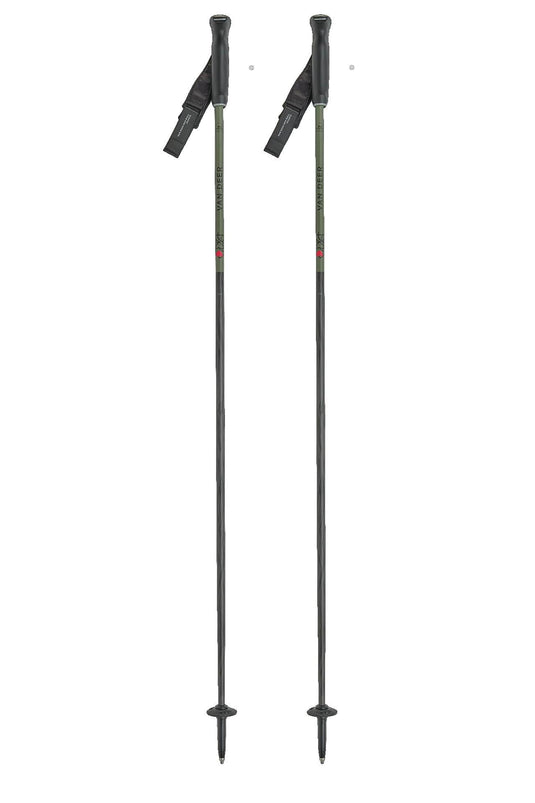 BASTONI DA SCI VAN DEER PISTE CARBON 